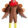 Fun Costumes Plus Size Wild Turkey Costume For Adults