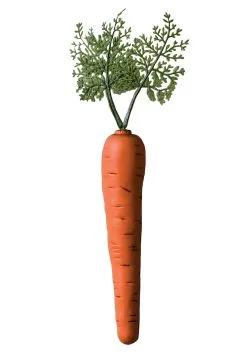 Forum Novelties, Inc Bunny Carrot Accessory