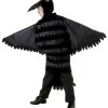 Fun Costumes Child Crow Costume