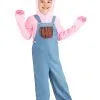 Fun Costumes Little Piggy Kid's Costume
